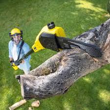 Best Lawn Irrigation Installation and Maintenance  in Tahoe Vista, CA