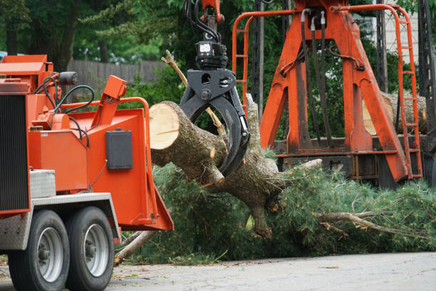 Mulching Services in Tahoe Vista, CA